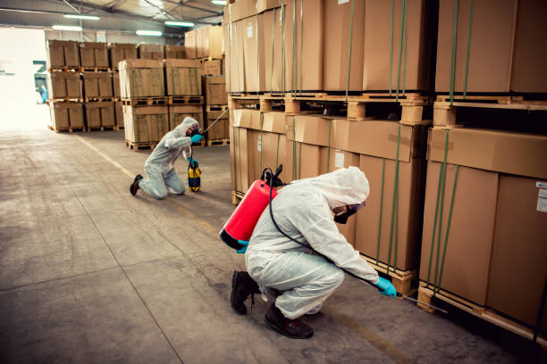 Best Pest Removal Services  in St Bonaventure, NY