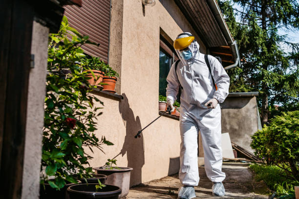 Best Rat Extermination Near Me  in St Bonaventure, NY