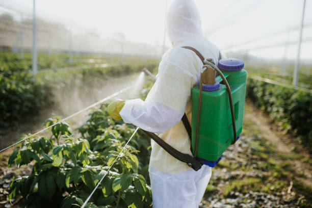 Best Ant Control Services  in St Bonaventure, NY